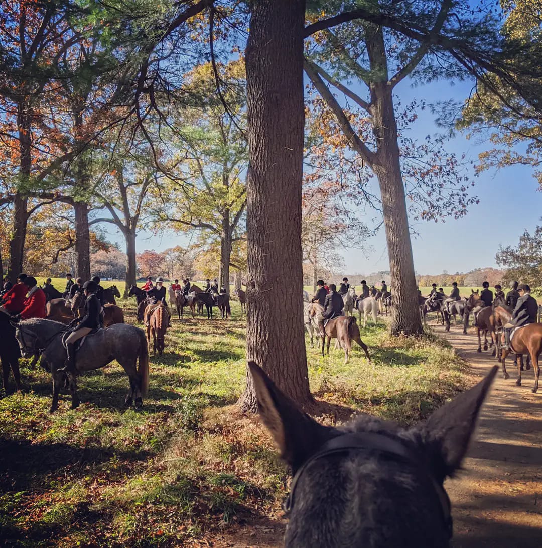 All New England Hunt