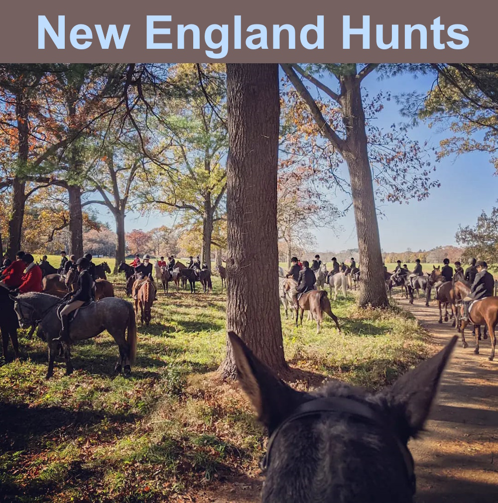 New England Hunts