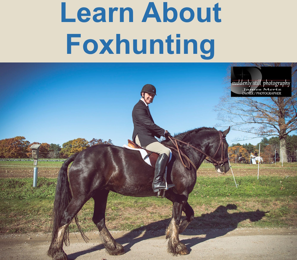 Learn About Foxhunting