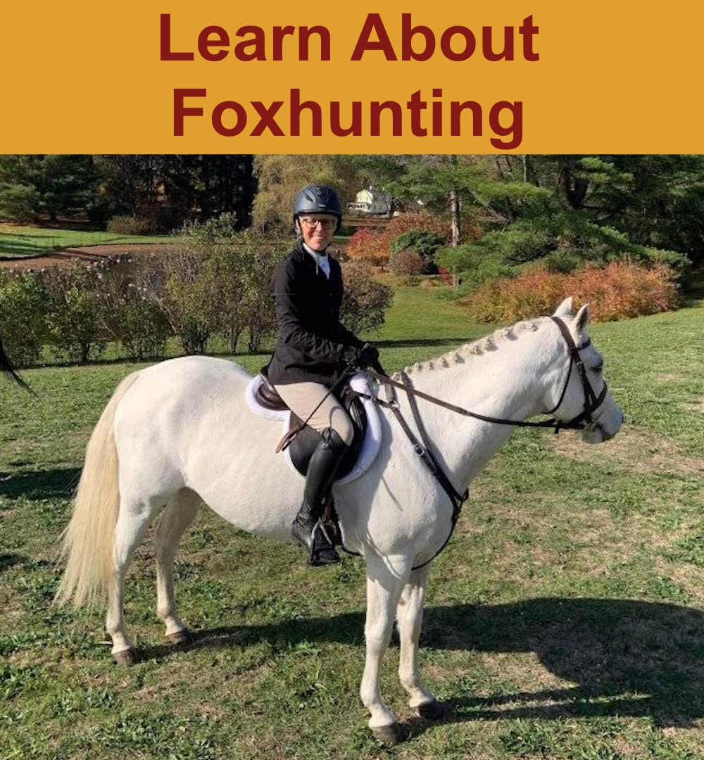 Learn About Foxhunting