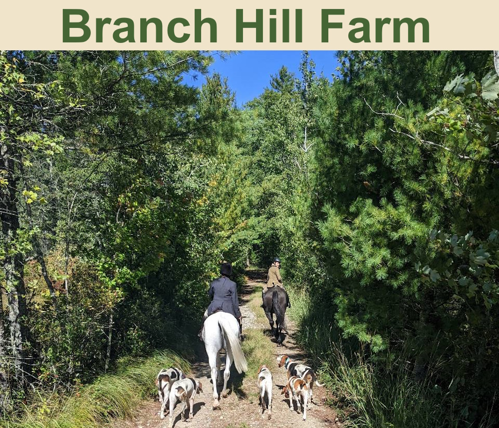 Branch Hill Farm