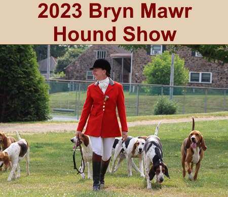 2023 Bryn Mawr Hounds Show