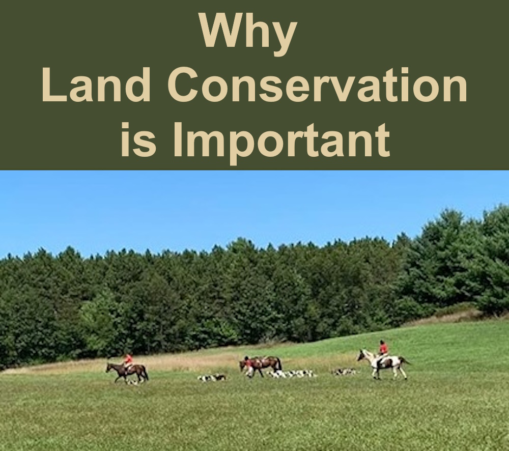 Why Land Conservation is Important