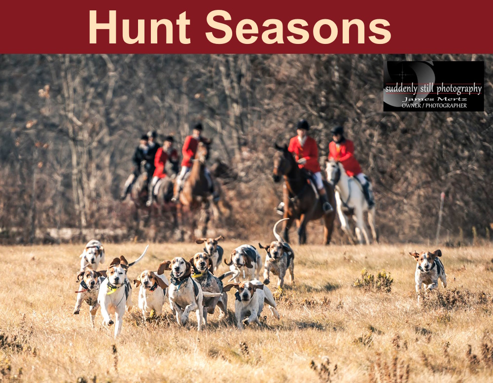 Hunt Seasons