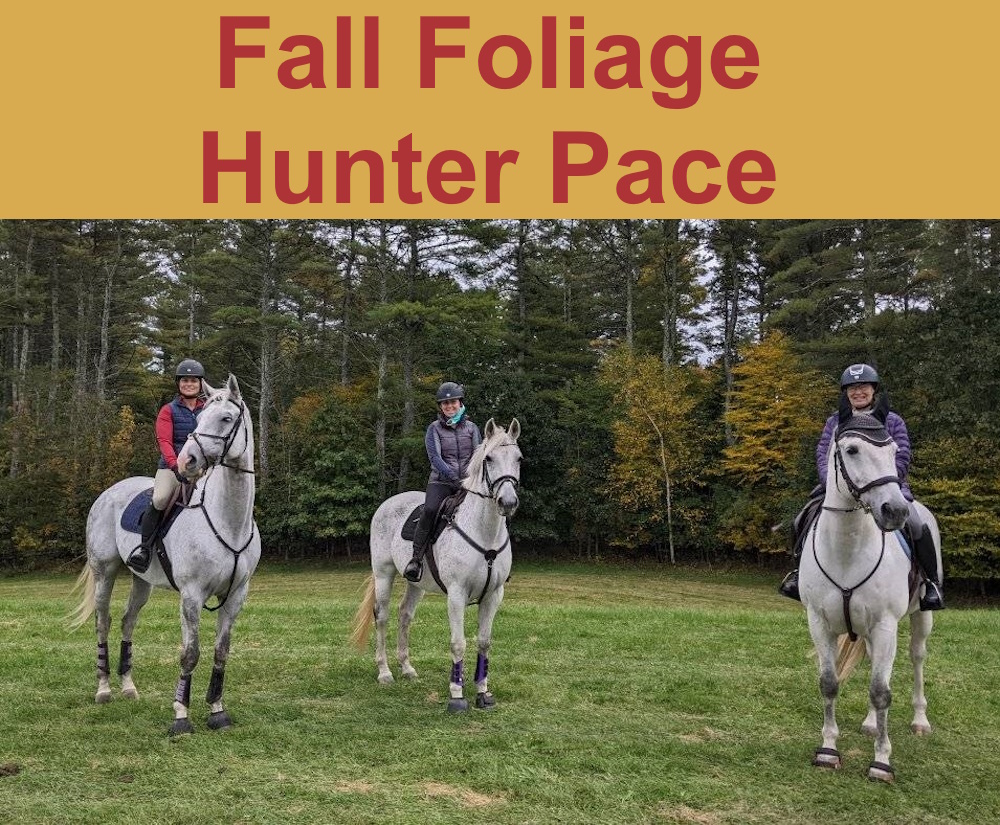 Fall Foliage Hunter Pace
