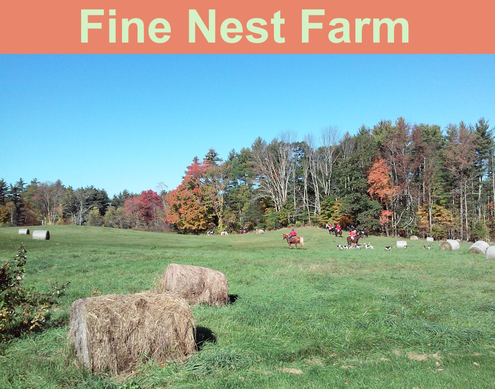 Fine Nest Farm