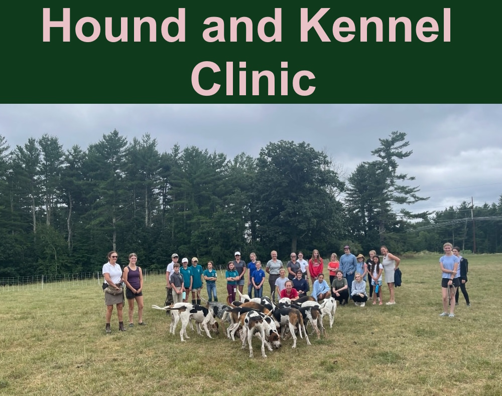 Hound and Kennel Clinic