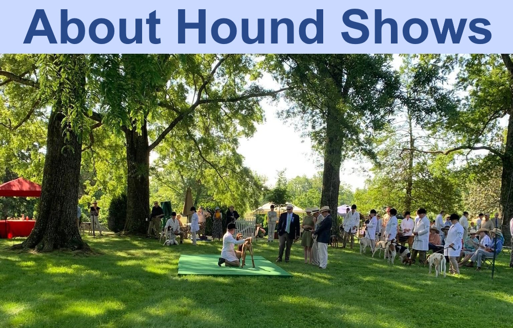 About Hound Shows