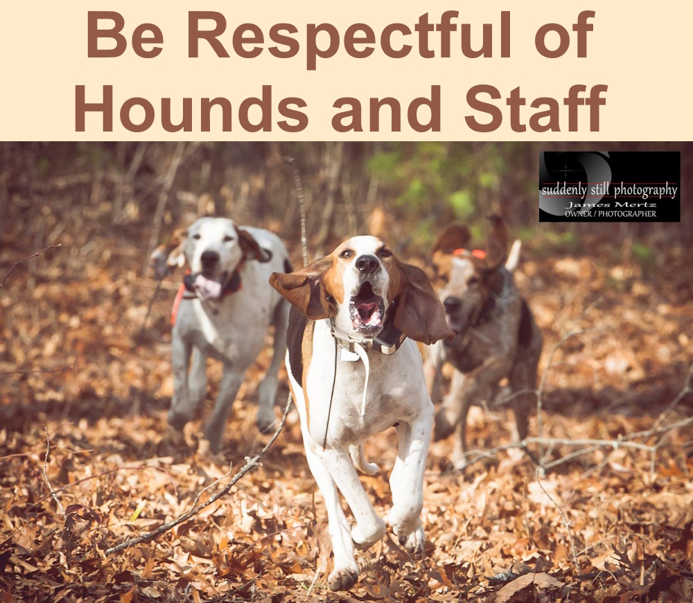 Respecting Hounds and Staff