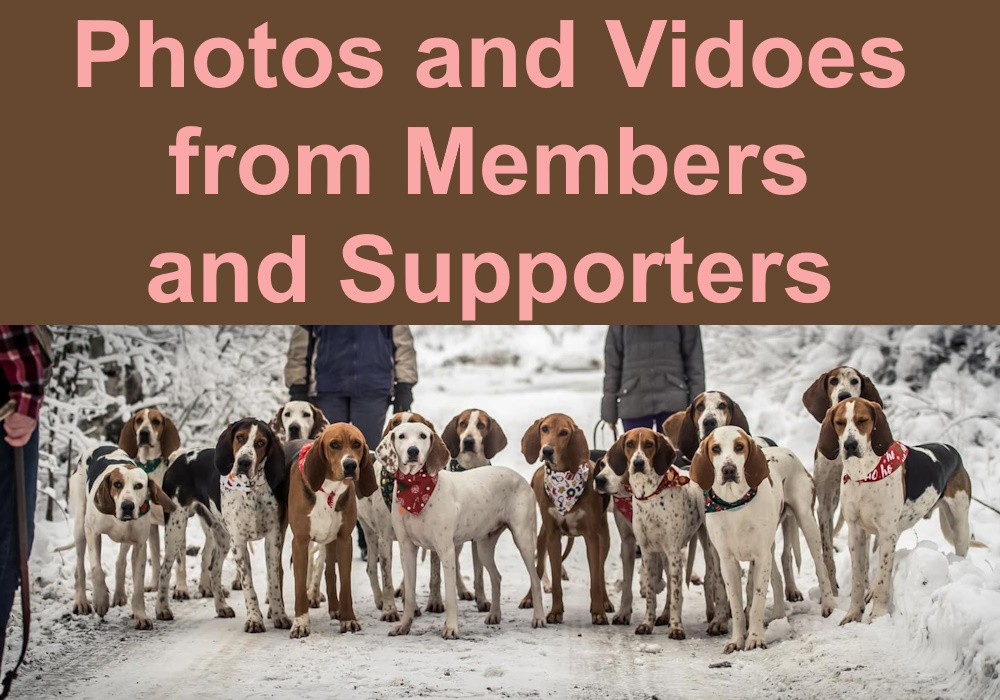 Photos and Videos from Members and Supporters