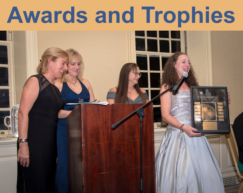 Awards and Trophies