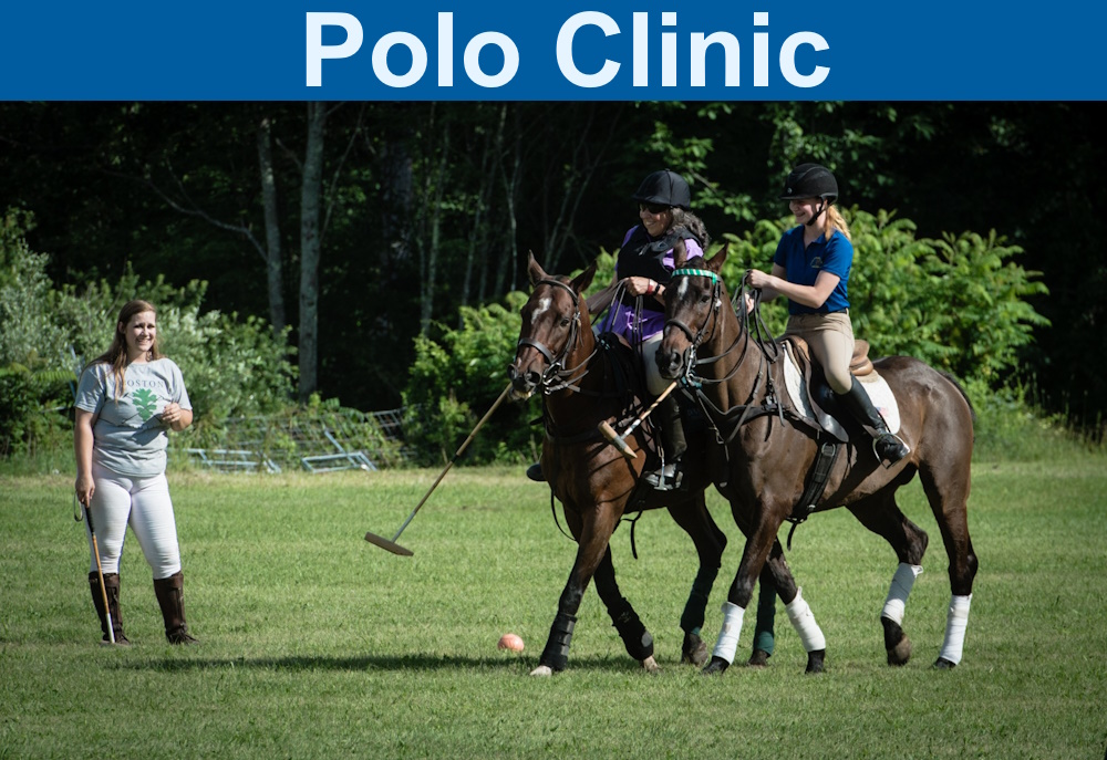 Polo Clinic
