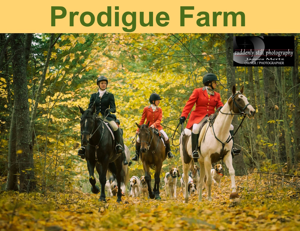 Prodigue Farm