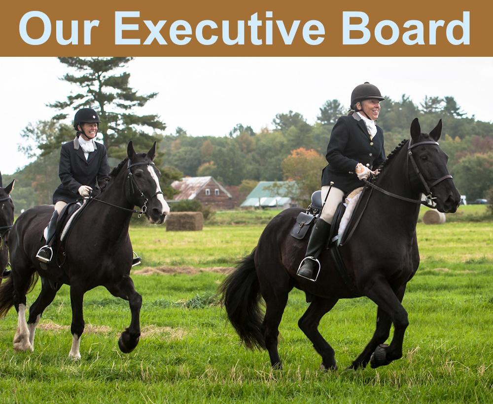Our Executive Board