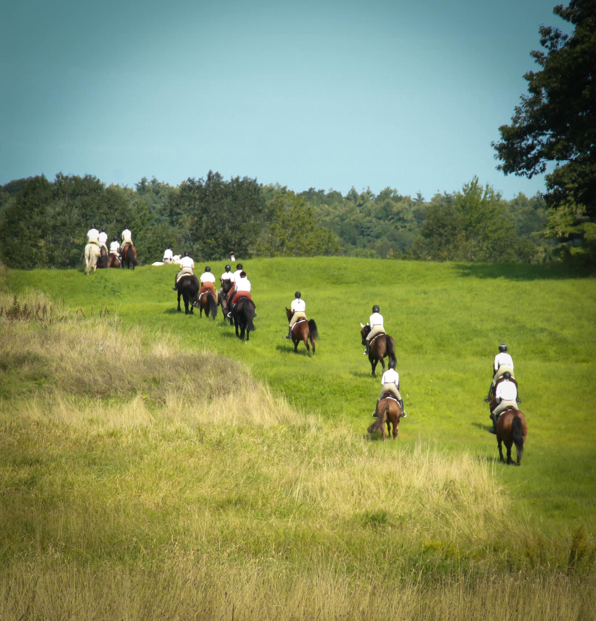 Swan Brook Equestrian Center