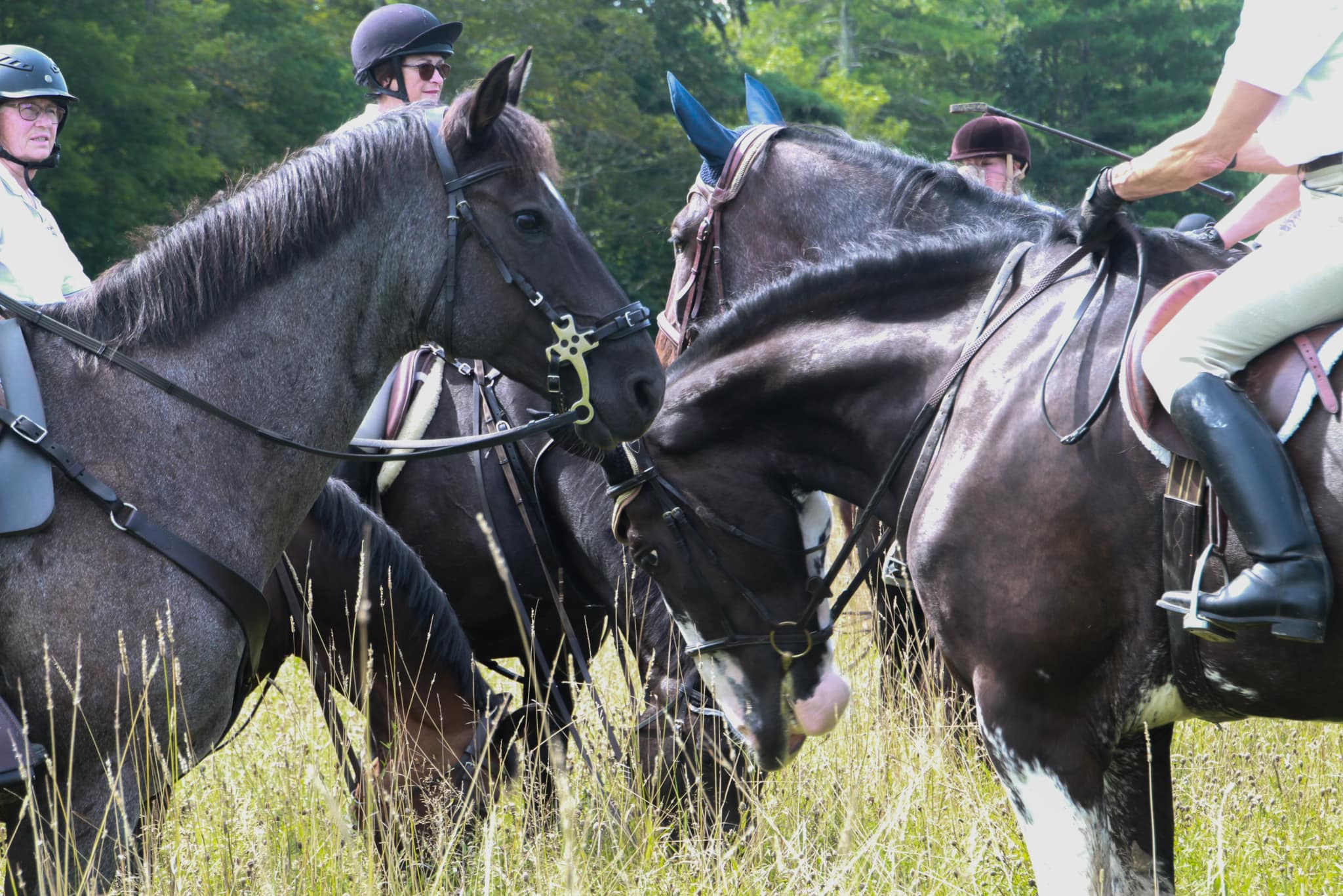 Swan Brook Equestrian Center